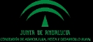 nuevo logo